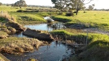 Dandaragan Stream