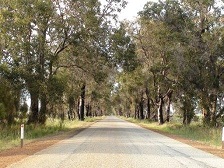 Dandaragan Regans Ford  Moora Tourist Drive