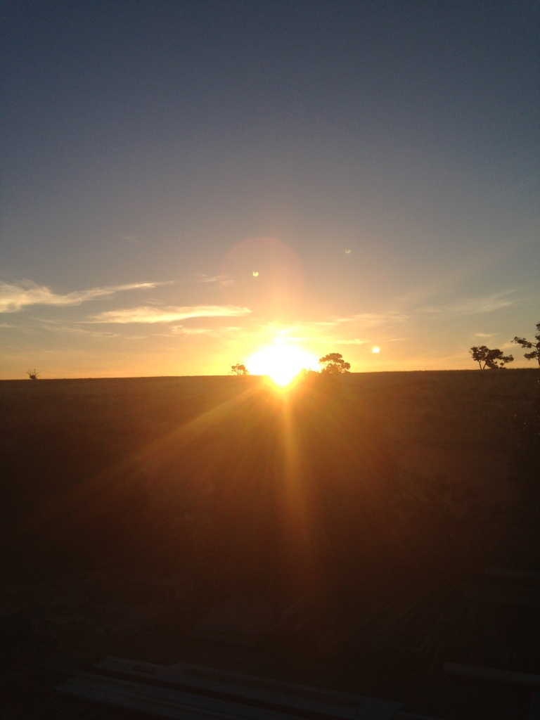 Sunset at Redgum Dandaragan Sunset at Redgum Dandaragan
