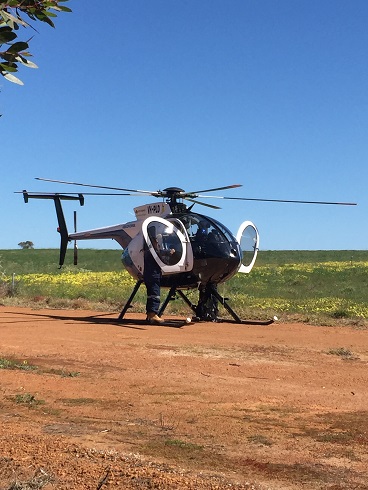 dandaragan redgum village moora